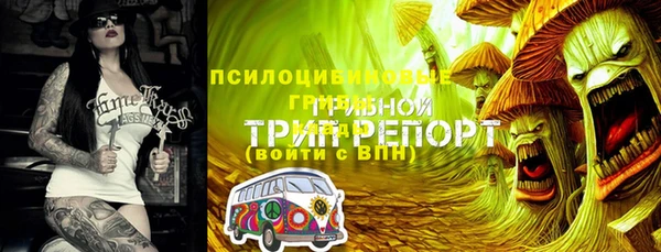 mix Абаза